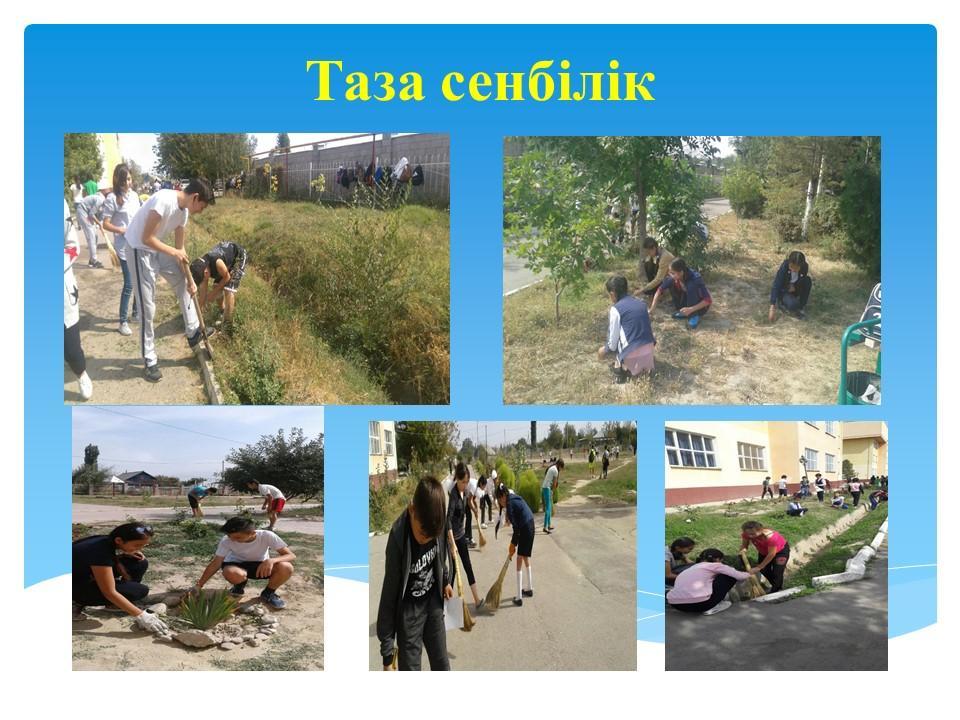 Таза сенбілік